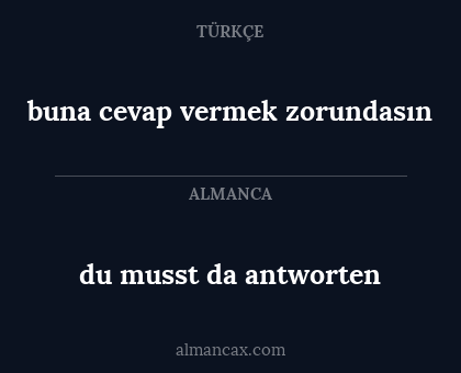 buna cevap vermek zorundasın - du musst da antworten