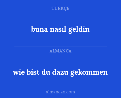 buna nasıl geldin - wie bist du dazu gekommen