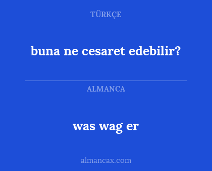 was wag er - buna ne cesaret edebilir?