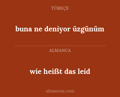 buna ne deniyor üzgünüm - wie heißt das leid