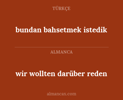 bundan bahsetmek istedik - wir wollten darüber reden