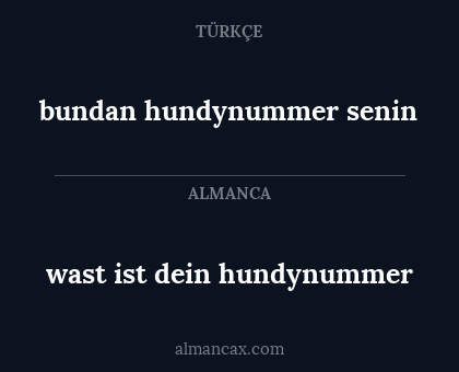wast ist dein hundynummer - bundan hundynummer senin