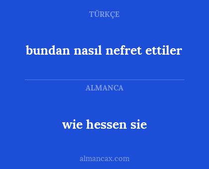 bundan nasıl nefret ettiler - wie hessen sie