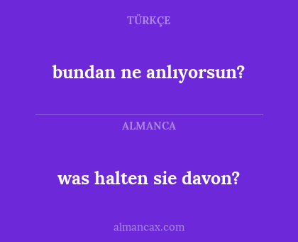 was halten sie davon? - bundan ne anlıyorsun?