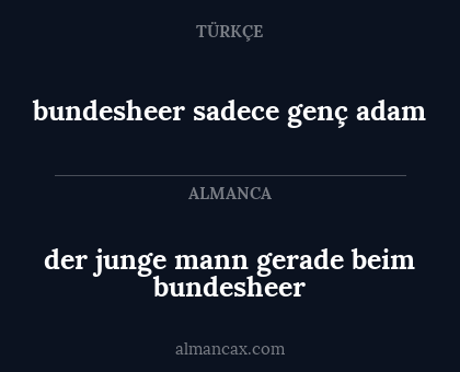 bundesheer sadece genç adam - der junge mann gerade beim bundesheer