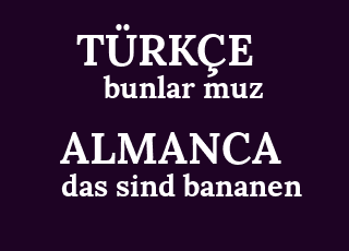 bunlar+muz-das+sind+bananen.png