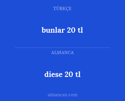 bunlar 20 tl - diese 20 tl