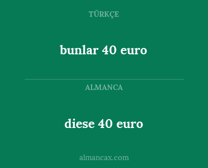 bunlar 40 euro - diese 40 euro