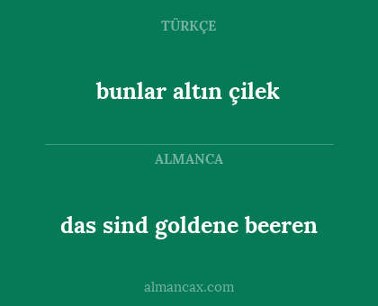 bunlar altın çilek - das sind goldene beeren