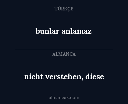 bunlar anlamaz - nicht verstehen, diese
