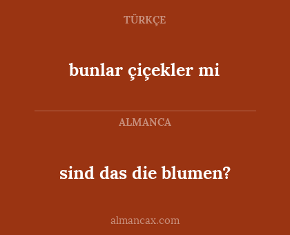 sind das die blumen? - bunlar çiçekler mi