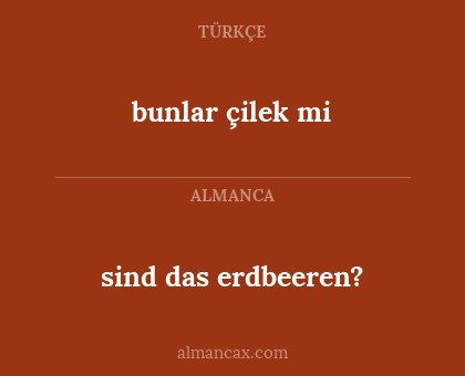 bunlar çilek mi - sind das erdbeeren?