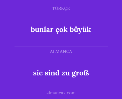 bunlar çok büyük - sie sind zu groß