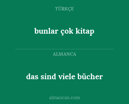 das sind viele bücher - bunlar çok kitap