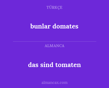 bunlar domates - das sind tomaten