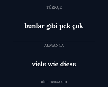 bunlar gibi pek çok - viele wie diese