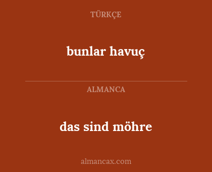das sind möhre - bunlar havuç
