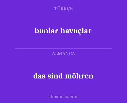 bunlar havuçlar - das sind möhren