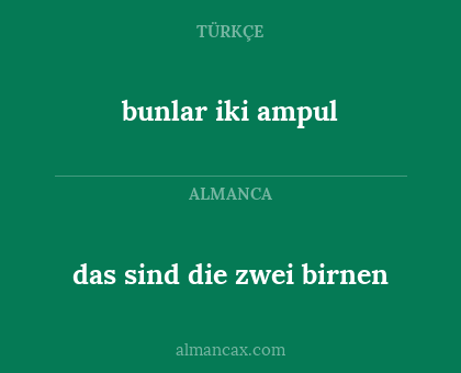 bunlar iki ampul - das sind die zwei birnen
