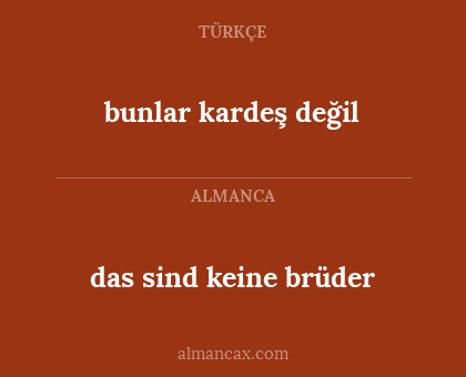das sind keine brüder - bunlar kardeş değil