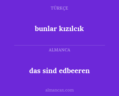 bunlar kızılcık - das sind edbeeren