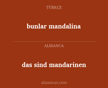 bunlar mandalina - das sind mandarinen