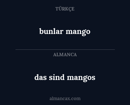 das sind mangos - bunlar mango