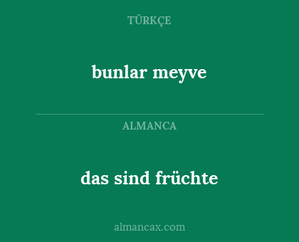 bunlar meyve - das sind früchte
