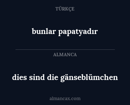 dies sind die gänseblümchen - bunlar papatyadır