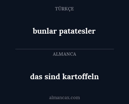 bunlar patatesler - das sind kartoffeln