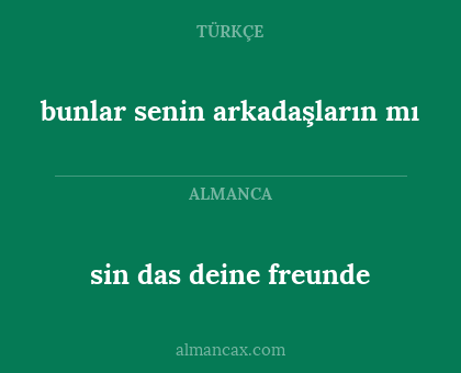 sin das deine freunde - bunlar senin arkadaşların mı
