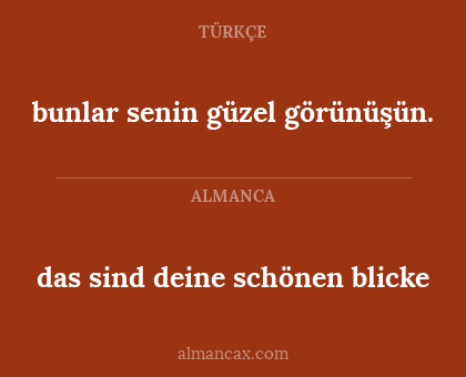 bunlar senin güzel görünüşün. - das sind deine schönen blicke