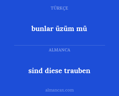 sind diese trauben - bunlar üzüm mü