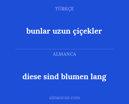 diese sind blumen lang - bunlar uzun çiçekler