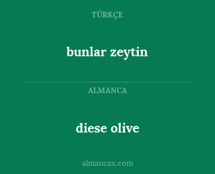 bunlar zeytin - diese olive