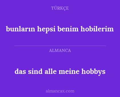 bunların hepsi benim hobilerim - das sind alle meine hobbys