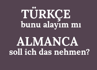 bunu+alay%C4%B1m+m%C4%B1-soll+ich+das+nehmen%3F.png