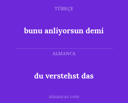 du verstehst das - bunu anliyorsun demi