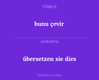 übersetzen sie dies - bunu çevir