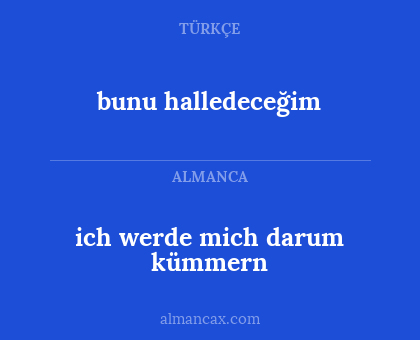 ich werde mich darum kümmern - bunu halledeceğim