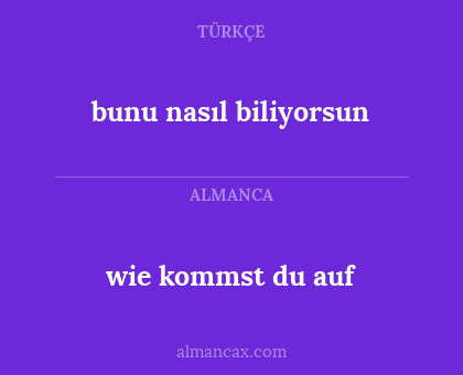 wie kommst du auf - bunu nasıl biliyorsun