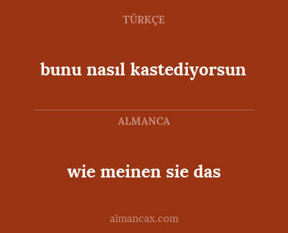 bunu nasıl kastediyorsun - wie meinen sie das