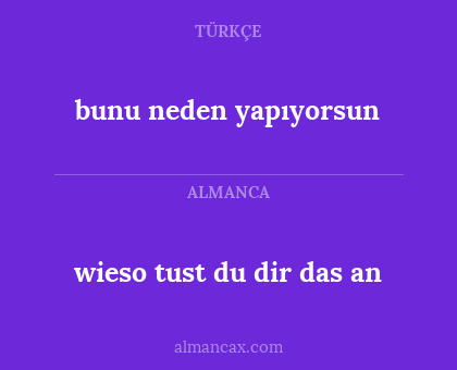 wieso tust du dir das an - bunu neden yapıyorsun