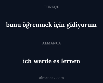 ich werde es lernen - bunu öğrenmek için gidiyorum