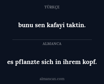 bunu sen kafayi taktin. - es pflanzte sich in ihrem kopf.