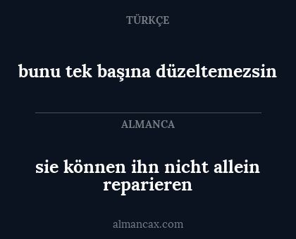 sie können ihn nicht allein reparieren - bunu tek başına düzeltemezsin