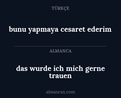 das wurde ich mich gerne trauen - bunu yapmaya cesaret ederim