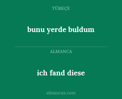 bunu yerde buldum - ich fand diese