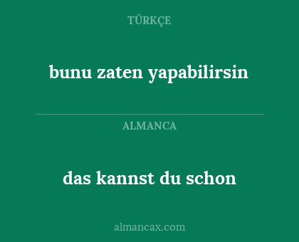 das kannst du schon - bunu zaten yapabilirsin