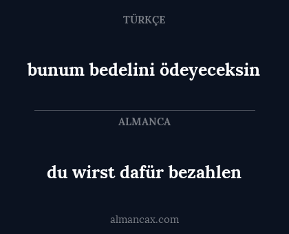du wirst dafür bezahlen - bunum bedelini ödeyeceksin